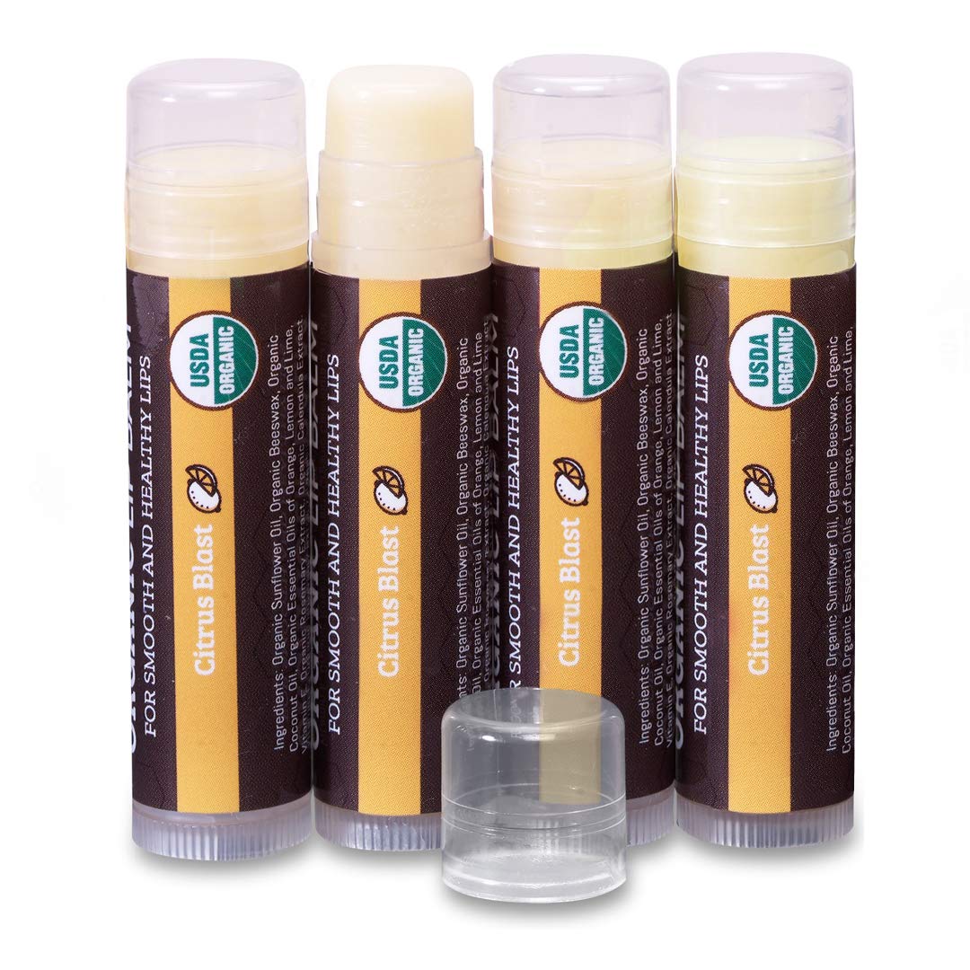 Earth's Daughter USDA Organic Lip Balm 6-Pack - Fruit Flavors, Beeswax, Coconut Oil, Vitamin E - Best Lip Repair Chapstick for Dry Cracked Lips - Moisturizing Lip Care